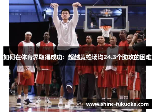 如何在体育界取得成功：超越黄蜂场均24.3个助攻的困难